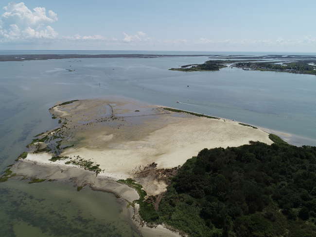 Photo of Swan Island in 2019 taken two months post-construction and planting from NOAA.